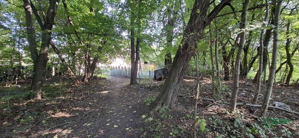 działka na sprzedaż 9748m2 działka Sosnowiec, Dobrzańskiego