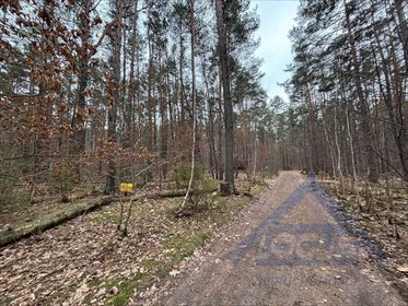 Działka 1820 m² w Magdalence z mediami - zapraszam działka Magdalenka