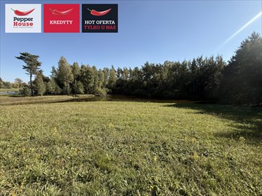 Działka 11 114 m² z dostępem do jeziora (Horniki Górne) działka Nowa Karczma, Horniki Górne, Horniki Górne
