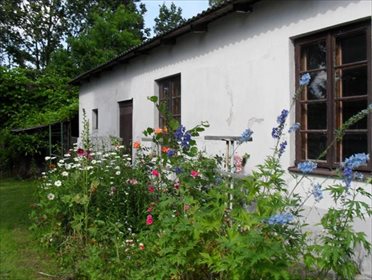 Dom na sprzedaż Mrowiska 140m2 Foto 4