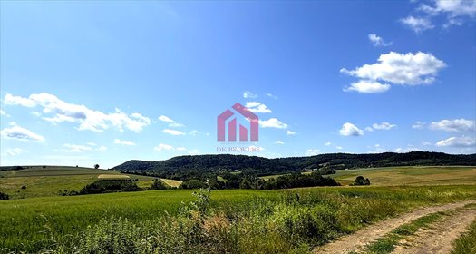 działka na sprzedaż 3000m2 działka Brzeziny