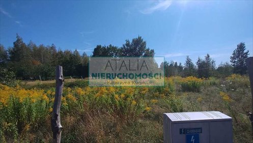 Działka budowlana 3216 m² z mediami, MPZP, inwestycja działka Stare Budy Radziejowskie