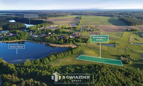 działka na sprzedaż 3914m2 działka Dziki