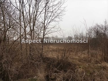 Działka budowlana na sprzedaż Żory, Baranowice 8 627m2 Foto 2