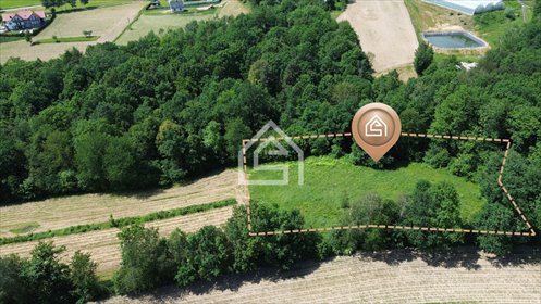 Działka 39,49 ar z potencjałem pod agroturystykę działka Trzciana