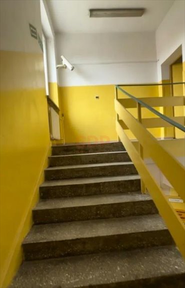 lokal użytkowy na sprzedaż 250m2 lokal użytkowy Wrocław, Krzyki, Borek, Aleja Hallera