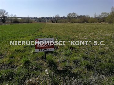Działka rolna na sprzedaż Raciborowice 900m2 Foto 2