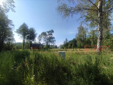 Sprzedam dwie działki budowlane 3205 m² w Grabniku działka Grabnik
