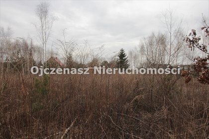 Sprzedam działkę 3000 m² z warunkami zabudowy w Żołędowie działka Żołędowo