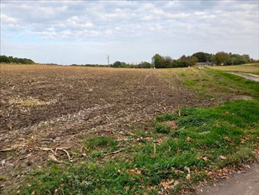 Działka rolna na sprzedaż Wierzchoniów, Kazimierz Dolny 4 400m2 Foto 3