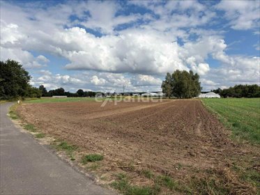 działka na sprzedaż 4180m2 działka Kalisz, Rajsków