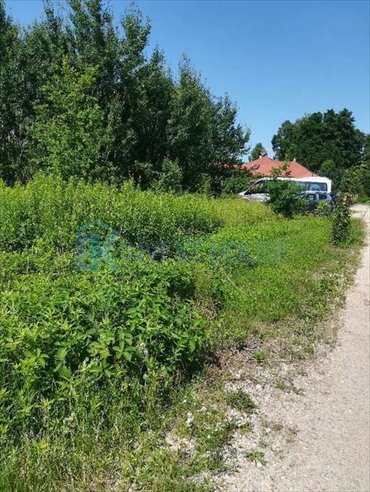 działka na sprzedaż 1000m2 działka Kolonia Sobików