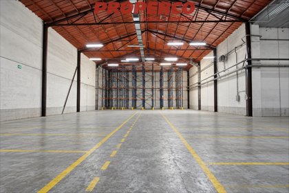 Magazyn 470 m² w Błoniu - funkcjonalna przestrzeń z wysokim składowaniem magazyn Błonie