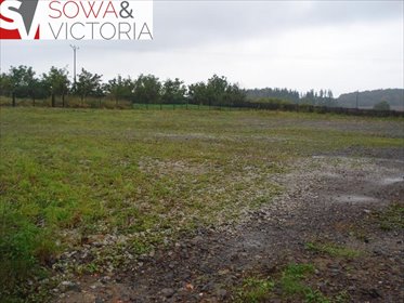 działka na wynajem 3500m2 działka Wałbrzych, Lubiechów