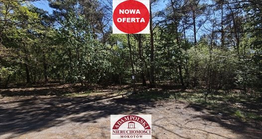 Na sprzedaż działka 1618 m² w Warszawie Wawer działka Warszawa, Wawer, Radość