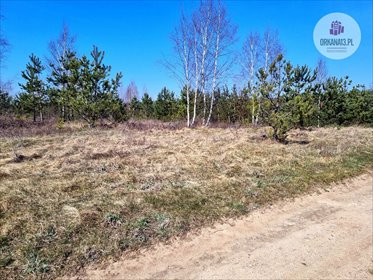 Działka rolna na sprzedaż Biesówko, Biesówko 4 093m2 Foto 6