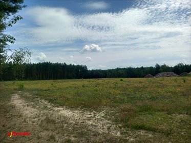 działka na sprzedaż 104900m2 działka Likiec