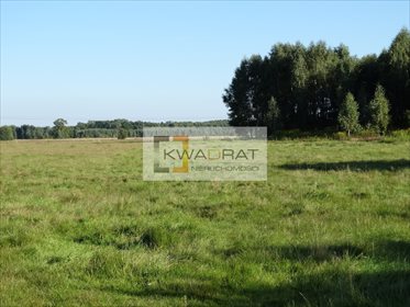 Działka rolna na sprzedaż Brzozowica 36 300m2 Foto 3