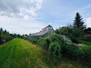 Urokliwa działka z domkiem, szklarnią i ogrodem działka Białystok, Pieczurki