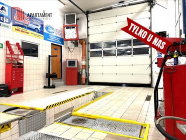Lokal użytkowy na sprzedaż Świecie 202m2 Foto 3
