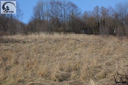 działka na sprzedaż 1830m2 działka Czasław