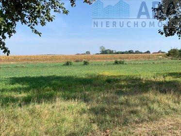 działka na sprzedaż 1228m2 działka Złotkowy