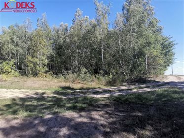 Działka rolna na sprzedaż Stare Płudy 15 400m2 Foto 2