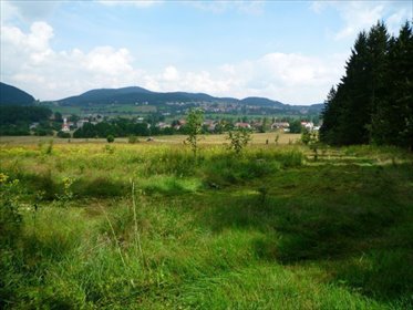 Na sprzedaż działka budowlana 1000 m² w Boguszowie-Gorcach działka Boguszów-Gorce, Stary Lesieniec