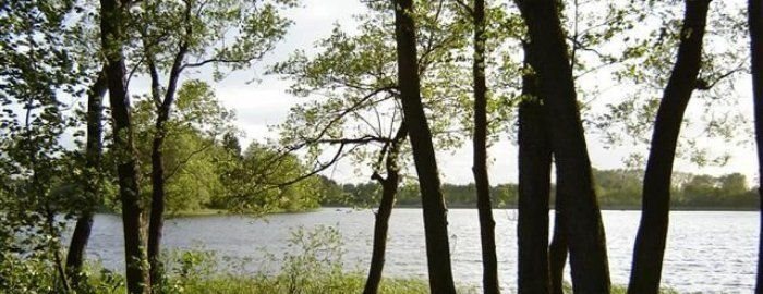 Działka rolna na sprzedaż Jeleń 5 141m2 Foto 3