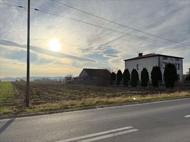 działka na sprzedaż 15959m2 działka Pińczyce, Pińczyce