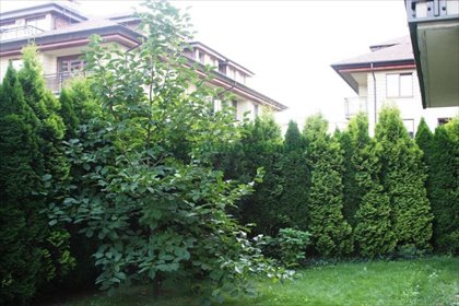 mieszkanie na wynajem 44m2 mieszkanie Warszawa, Ochota, Drawska