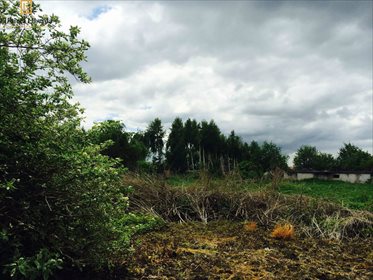 Działka komercyjna na sprzedaż Kazimierzówka 6 000m2 Foto 2