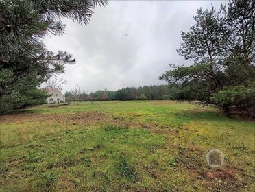 Na sprzedaż działka 3848 m² z możliwością zabudowy w Goszczanowcu działka Goszczanowiec
