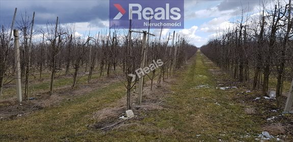 działka na sprzedaż 35800m2 działka Las Dębowy