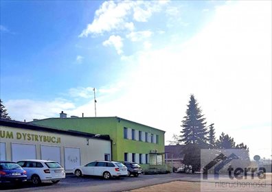 Lokal użytkowy na sprzedaż Mogilno 2 280m2 Foto 6