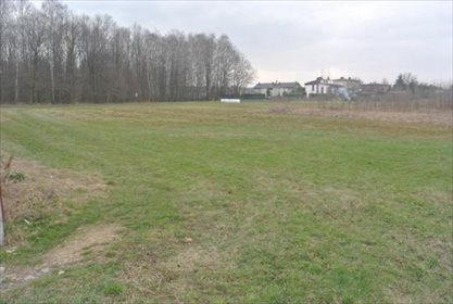 Działka budowlana na sprzedaż Mikołów, Borowa Wieś 2 256m2 Foto 5