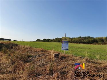 Działka budowlana na sprzedaż Drągowina 3 200m2 Foto 6