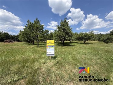 Malownicza działka budowlana 2973 m2 z warunkami zabudowy działka Bogaczów, Bogaczów ul. Miodowa