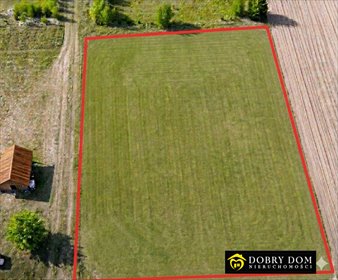 Działka siedliskowa 3000 m² z dostępem do dróg i terenów rekreacyjnych działka Kościuki