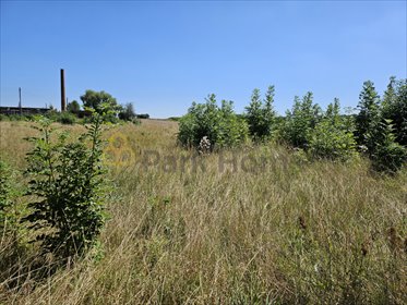 Na sprzedaż duża działka 5180 m² w Śmiglu z warunkami zabudowy działka Śmigiel