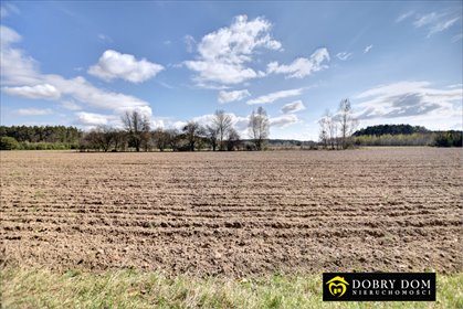 Działka 1050 m² pod dom w otoczeniu lasu, spokojna okolica działka Pomigacze