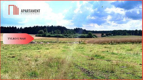 Działka budowlana 3 266 m2 z warunkami zabudowy w Odrach działka Odry