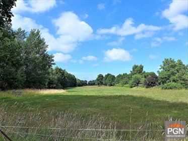 Sprzedam działkę inwestycyjną 10 000 m² w Kamieniu Pomorskim działka KAMIEŃ POMORSKI OKOLICA