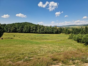 działka na sprzedaż 1077m2 działka Marciszów, Polna