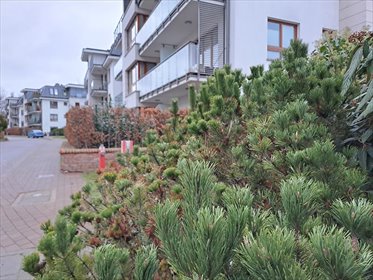 mieszkanie na wynajem 45m2 mieszkanie Sopot, Górny, Armii Krajowej