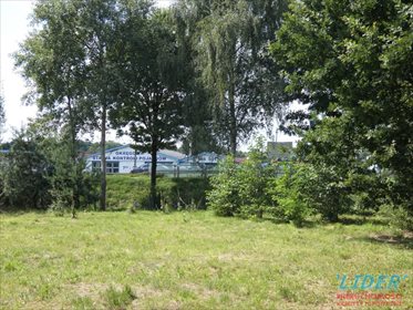 Działka budowlana na sprzedaż Pszczyna, Chuchułka 4 837m2 Foto 6