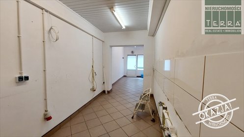lokal użytkowy na wynajem 27m2 lokal użytkowy Zielona Góra