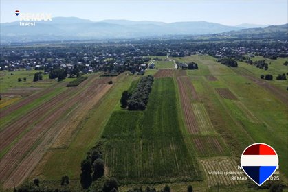 Działka rolna 6588 m² w Leśnej – atrakcyjna cena! działka Leśna, Kasztanowa