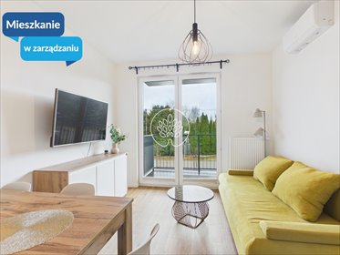 mieszkanie na wynajem 37m2 mieszkanie Niemcz, Władysława Reymonta