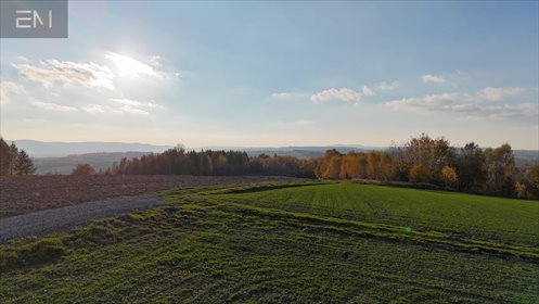 działka na sprzedaż 1391m2 działka Tropie